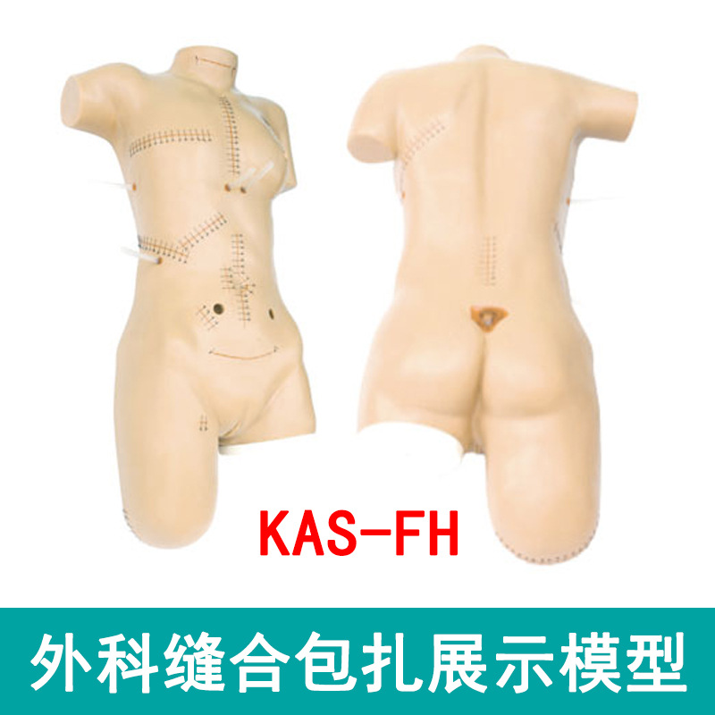 外科缝合包扎展示模型 清创缝合模具教学 成人综合切除手术模拟人