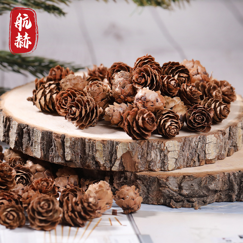 小松花落叶松果diy 装饰松塔染白迷你松果装饰圣诞节日装饰松果