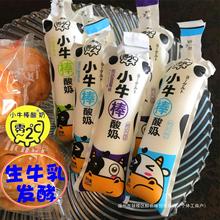 生常温牛乳饮品棒酸奶60ml乳酸菌1小牛儿童发酵青少年早餐