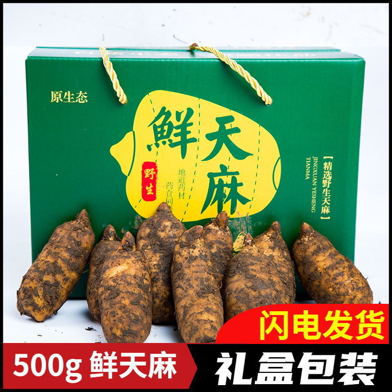 10斤新鲜天麻云南昭通彝良小草坝野生鲜天麻3斤起产地直发包邮