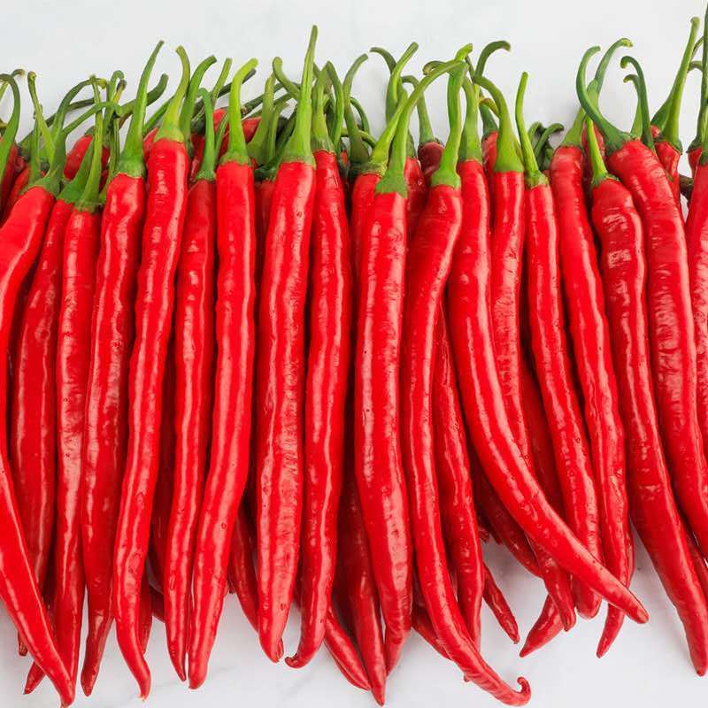小米椒新鲜的批发现摘红辣椒二荆条红线尖椒线辣椒可做剁椒酱泡椒