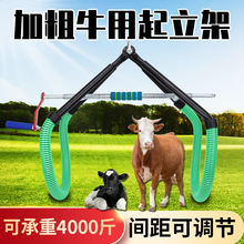 牛用起立架加厚奶牛吊牛器提牛器起立架大牛吊架牵引器保定架