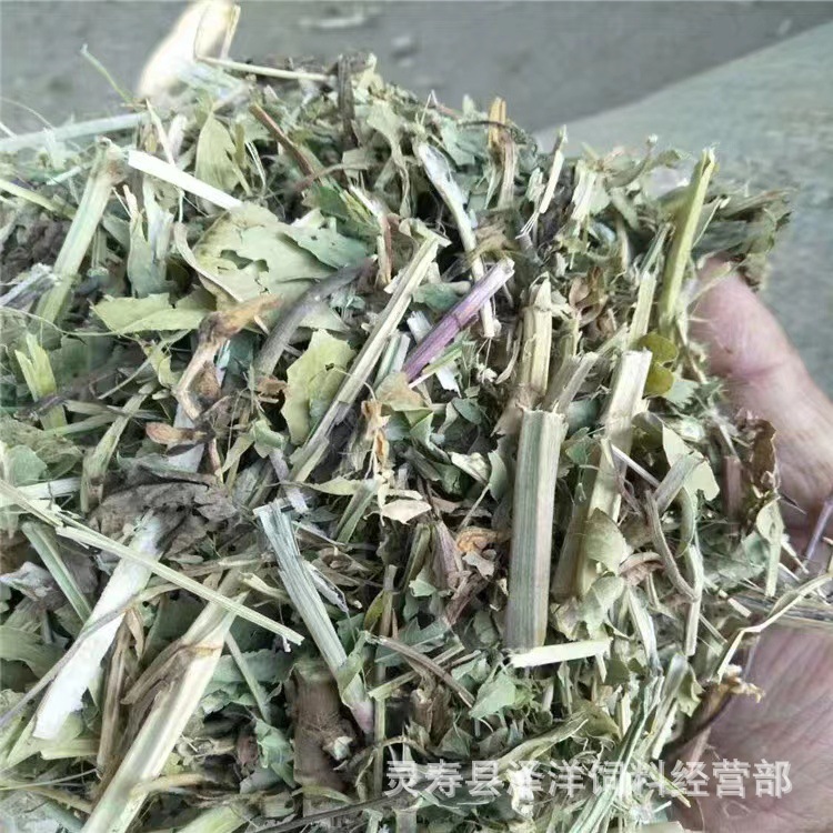 羊草 花生秧 花生秸秆 牛羊粗饲料 花生草粉 花生藤花生豌子-阿里巴巴