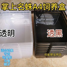 爬柜A4宠饲养盒PVC掌上名蛛A4盒豹纹守宫抽屉玩具蛇抽拉盒速卖通