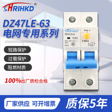 浙江耀民（上海人民）DZ47LE-63电网专用小型微型漏电保护断路器