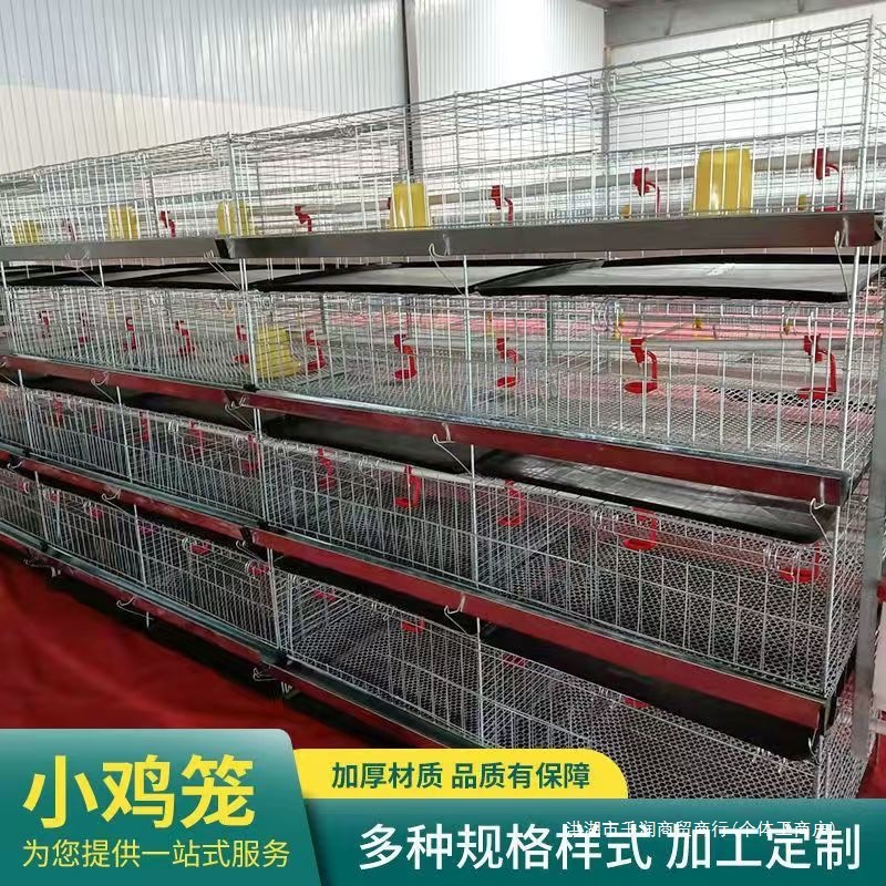 加粗加密四层小鸡笼雏鸡笼鸡苗鸭苗育雏笼多层养殖雏鸡笼室内笼产