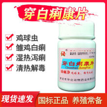 兽用甲砜霉素片兽药鸡鸭鹅鸽子痢疾拉稀肺炎肠炎猪牛羊呼吸道感染