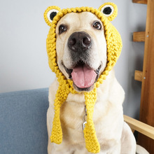 Funny Frog Dog Hat Cute Knitted Pets Golden Retriever跨境专