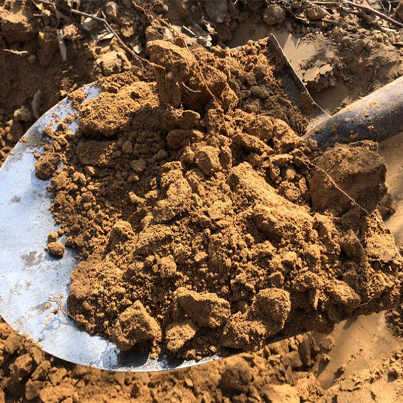种菜土园艺泥土普通园土菜园土田园菜土园土土壤营养土花土种植土