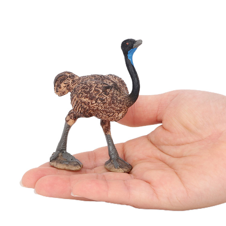 静态实心仿真野生动物模型儿童玩具鸸鹋澳洲鸵鸟科教认知礼物摆件
