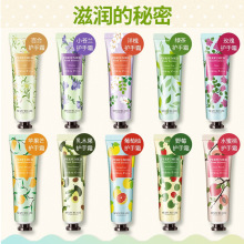 健美创研 新款30g 护手霜 滋润保湿 hand Cream 水果香花香护手霜