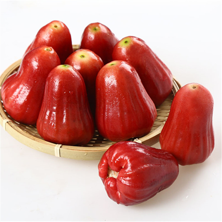 海南黑金刚莲雾果当季新鲜水果热带水果海南特产红宝石莲雾批发