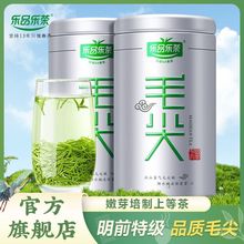 乐品乐茶毛尖茶叶2023新茶春茶高山绿茶浓香型口粮茶250g