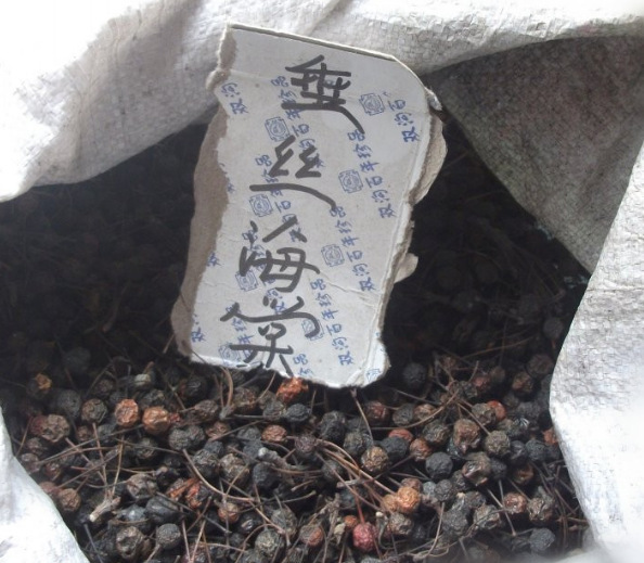 新籽垂丝海棠种子 海棠花种子 垂枝海棠种子 解语花种子