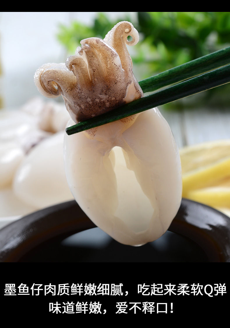 鲜活墨鱼仔小墨鱼冷冻章鱼乌贼八爪鱼爆头新鲜墨鱼烧烤火锅食材