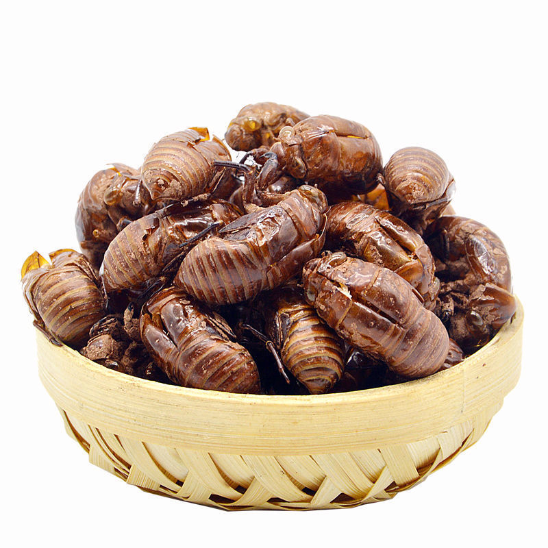 包邮农家自采大山里的蝉蜕蝉衣蝉脱金蝉衣知了壳50克毛猴原料