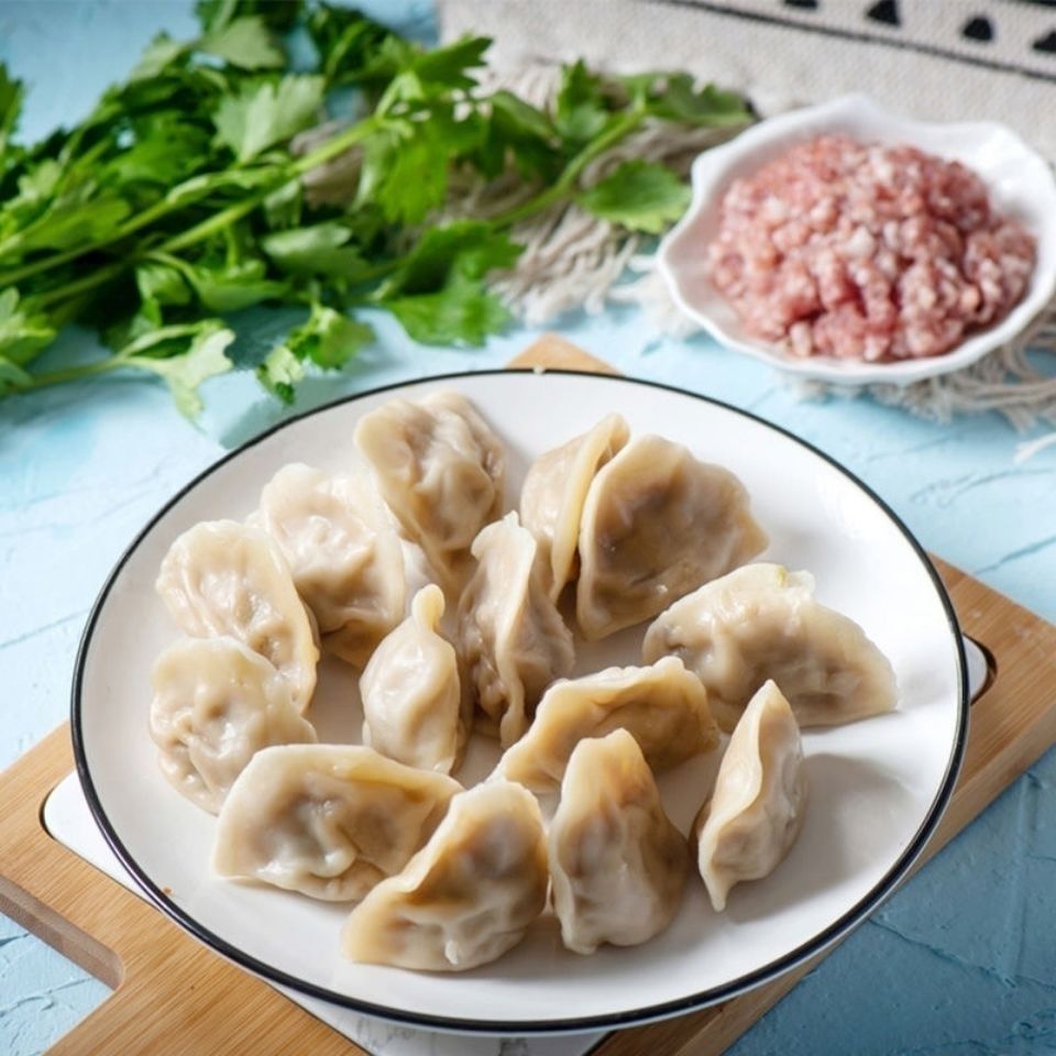 手工饺子猪肉牛肉羊肉韭菜鸡蛋水饺煎饺速冻面食食品5斤顺风包邮