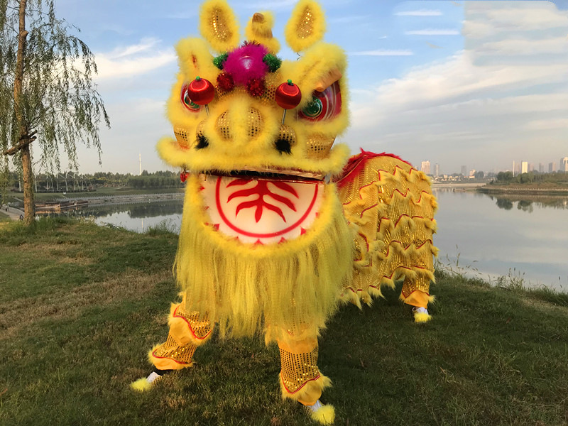 成人舞龙舞狮道具整套双人款南狮佛山醒狮服装狮子头舞台表演服