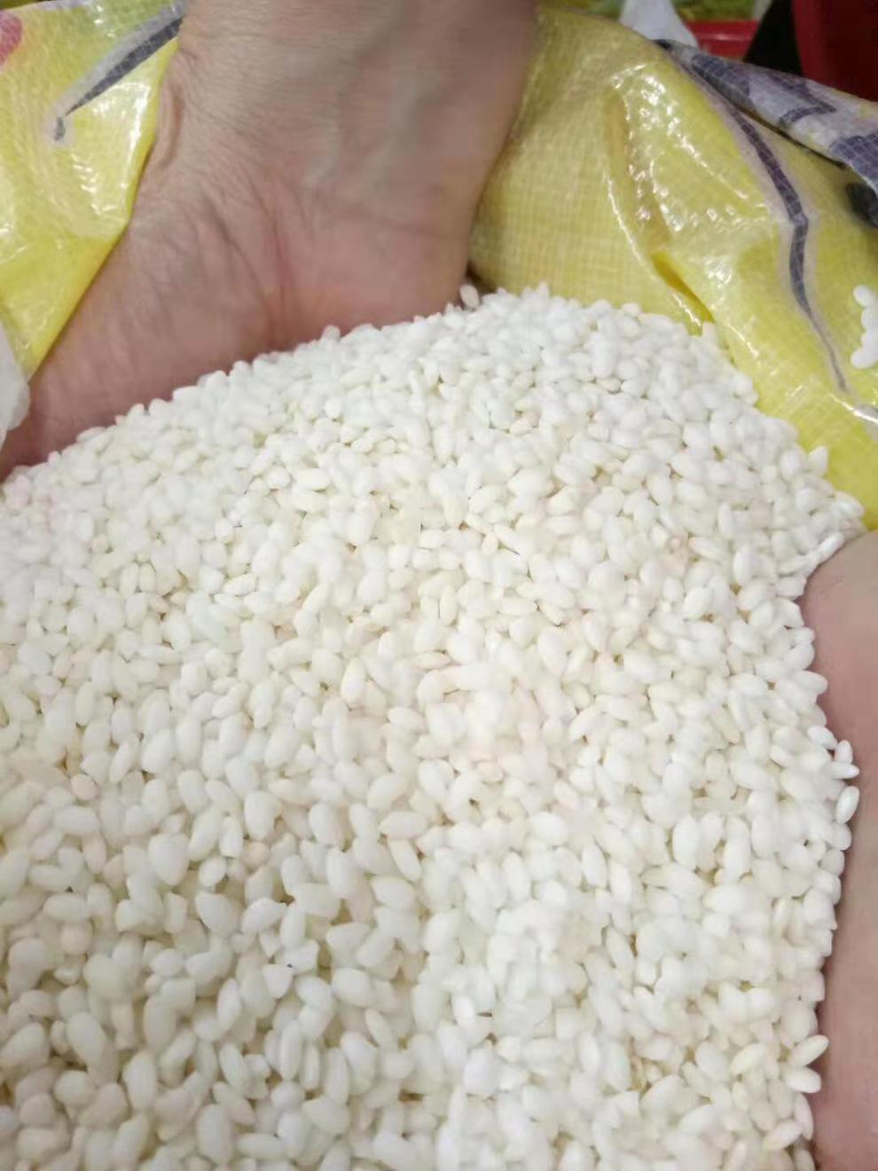 广西靖西大香糯香米糯米饭新糯米软糯珍珠贡品大糯粽子5斤装