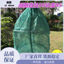 折叠鱼护养鱼笼养虾笼泥鳅黄鳝笼暂养网箱螃蟹护吊笼渔网鱼笼防逃