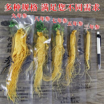 人参长白山人参小鲜参小人参新鲜批发正宗人参正品真空独立包装