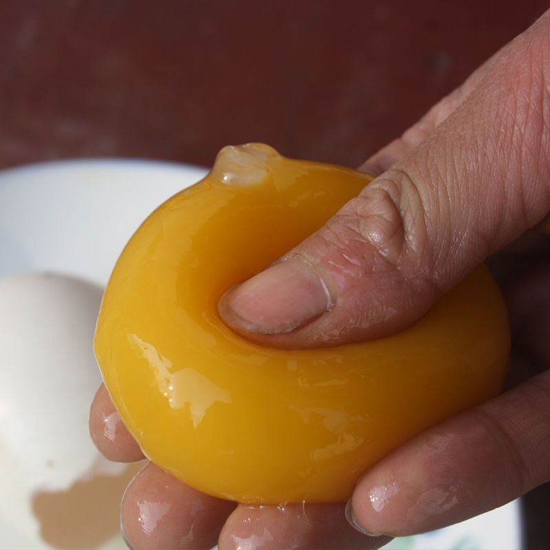 鹅蛋新鲜土大的农家散养单黄孕妇宝宝枚山东特大土批发跨境厂家