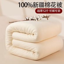 100%新疆纯棉花被棉花被子冬被芯单双人棉絮春秋被学生棉胎