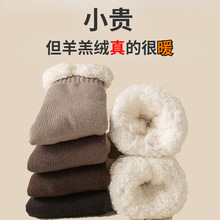 雪地袜子男秋冬款居家睡眠袜特厚加厚暖脚宝羊羔绒中筒防寒地板袜