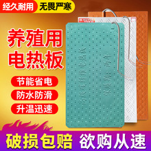 仔猪电热板 小猪保温恒温加热板 复合碳纤维 玻璃钢 不锈钢电热板