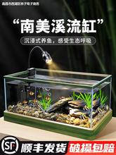 南美风溪流缸客厅小型原生鱼缸家用全套造景超清玻璃桌面生态鱼缸