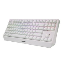 樱桃（CHERRY）MX1.0 TKL 有线键盘 G80-3814RGB机械键盘87键青轴