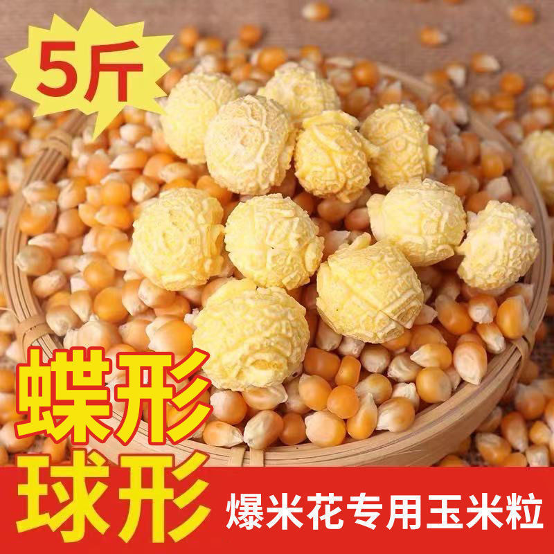 产地直发球形圆形蝶形爆米花玉米粒电影院ktv同款爆裂玉米籽批发