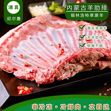 【不冷冻鲜肉空运】清真内蒙古新鲜纯羊排草原手抓羊肋排原切排骨