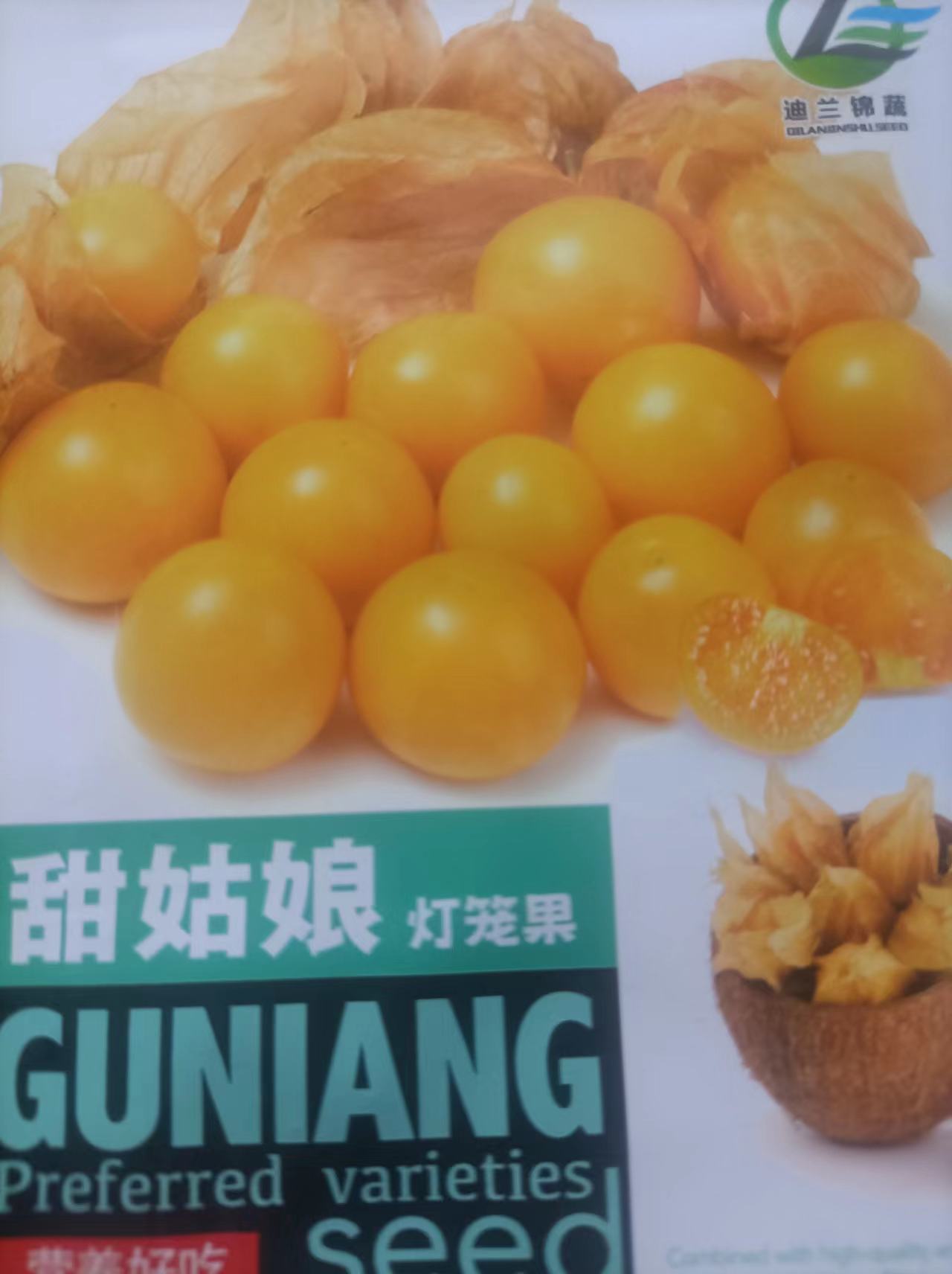 东北姑娘果新鲜姑娘果甜菇娘灯笼果大果甜菇娘种子-阿里巴巴