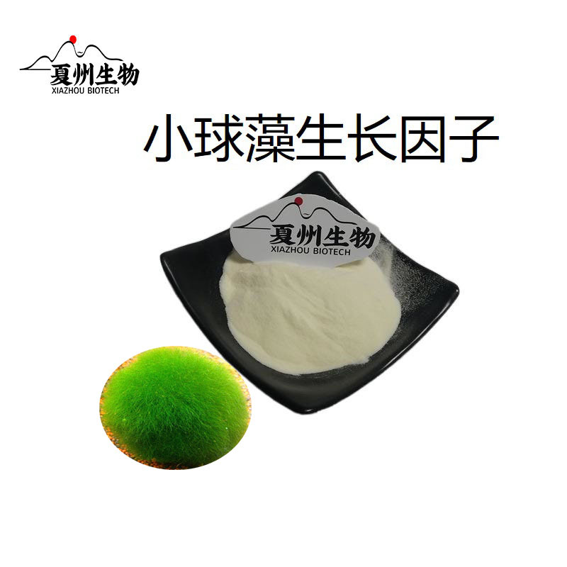 小球藻生长因子100g1kg小球藻提取绿藻生长因子cgf绿藻精