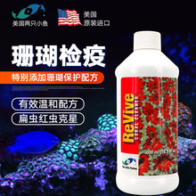 美国两只小鱼珊瑚检疫杀虫水 SPS寄生虫扁虫海蜘蛛珊瑚缸海缸