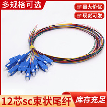 12芯SC束状尾纤 光纤跳线sc电信级束状尾纤 12芯尾纤12色方口单模