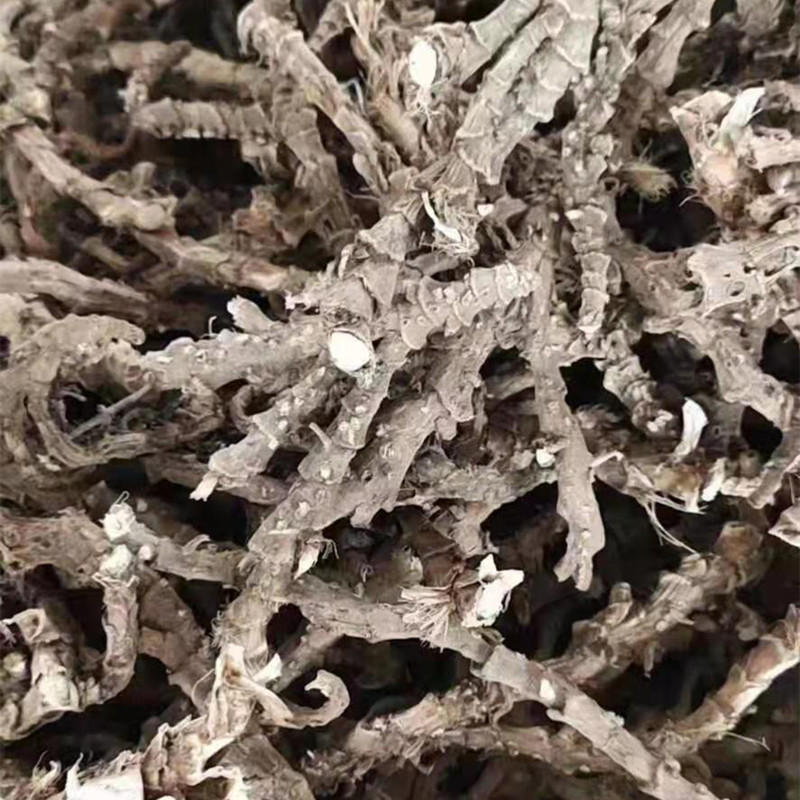 深山石昌蒲根 山菖蒲 水菖蒲新鲜干货 香蒲草500克