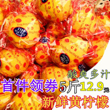 新鲜四川安岳黄柠檬二三级水果当季特产榨汁切片有坏包赔5斤包邮