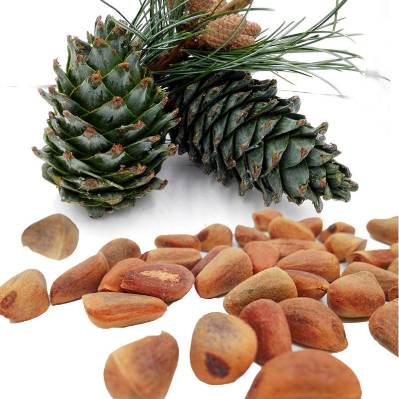 【松鼠松塔】-松鼠松塔厂家,品牌,图片,热帖-阿里巴巴