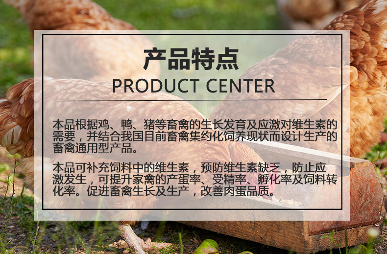 复合维生素预混合饲料饲料厂自配料用808畜禽用型预混合饲料