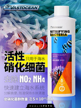 VASTOCEAN活性硝化细菌海水珊瑚鱼缸去除NO2NH4快速建立海水系统