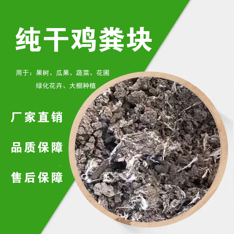 晒干鸡粪块 厂家批发 葡萄柑橘果树用 花卉用肥料有机肥环保