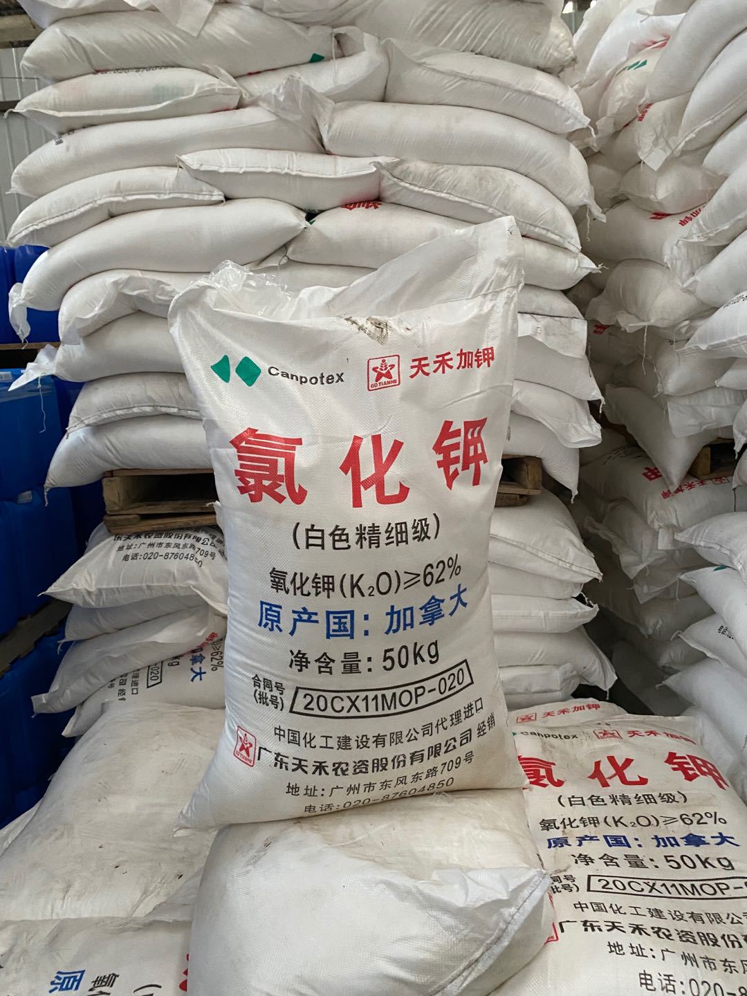 济南现货供应俄罗斯进口62%氯化钾 镀锌用氯化钾 农业级氯化钾