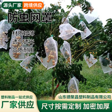跨境植物束口果树植物防鸟网 花园网 防虫网片 蔬菜覆盖网防虫罩