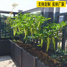 种植箱 自由组合阳台塑料花箱 绿化楼顶温室花盆菜篮支持一件代发