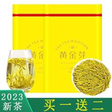 2023新茶特级黄金芽明前白茶安吉特产浓香型绿茶罐装黄金叶茶叶