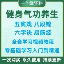 健身易筋经视频教程诀初学者八段锦五禽戏气功电子版养生六字合集