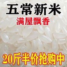 【优惠】五常20斤米10斤农家新米长粒香现磨现卖产地直发