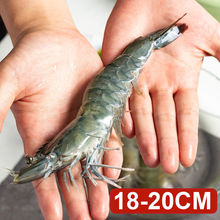 4斤装青岛大虾超大海鲜水产鲜活速冻海虾新鲜基围虾青虾对虾鲜虾